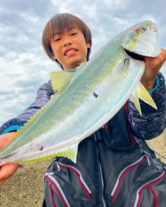 メジロの釣果