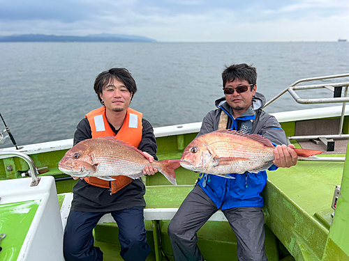 マダイの釣果