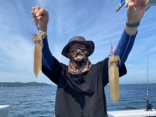 マルイカの釣果