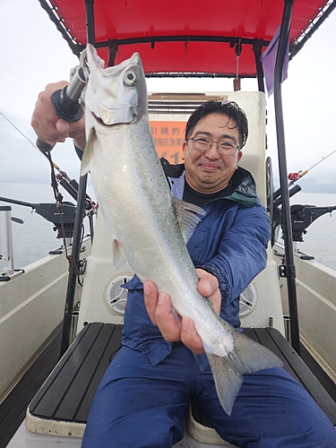 ビワマスの釣果