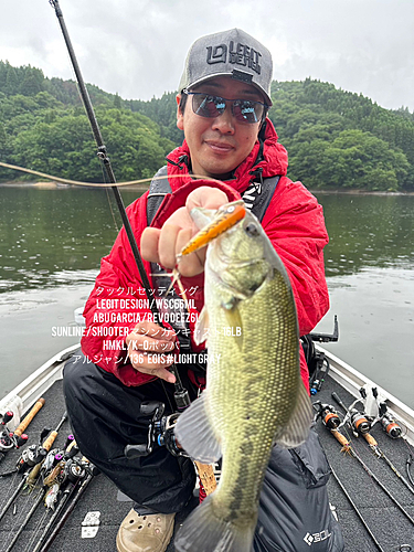 ブラックバスの釣果