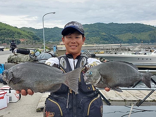 クチブトグレの釣果