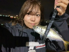 マアジの釣果