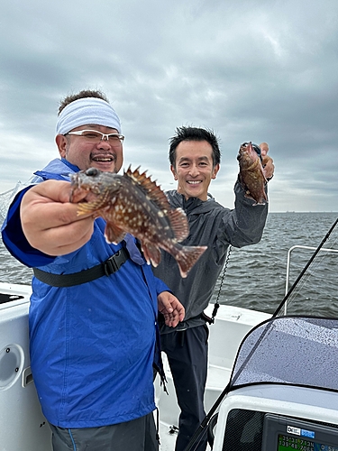 カサゴの釣果