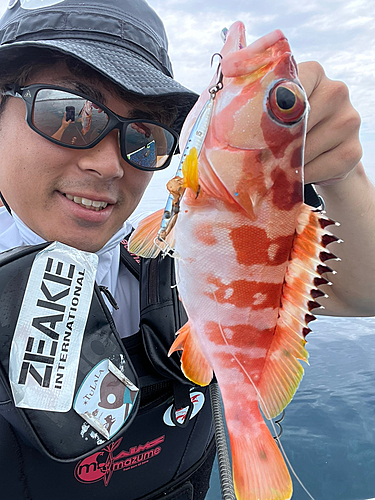 アカハタの釣果