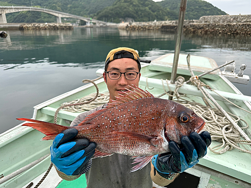 タイの釣果