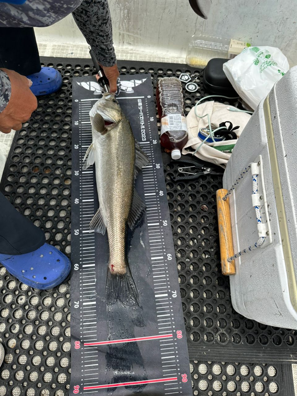 insane fishermanさんの釣果 3枚目の画像