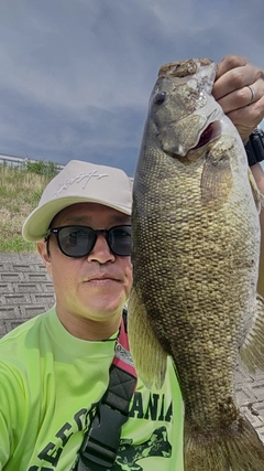 スモールマウスバスの釣果