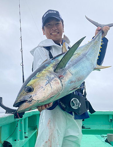 キハダマグロの釣果