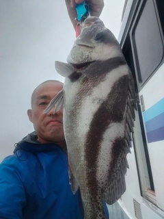 コショウダイの釣果