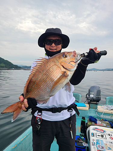 タイの釣果