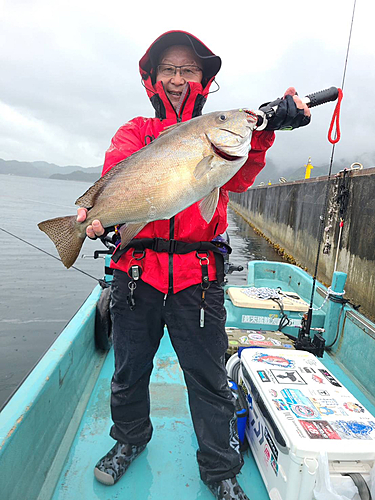 コロダイの釣果