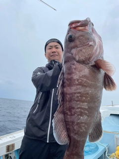 マハタの釣果