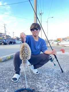 モンゴウイカの釣果