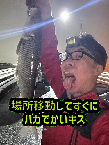 ニゴイの釣果