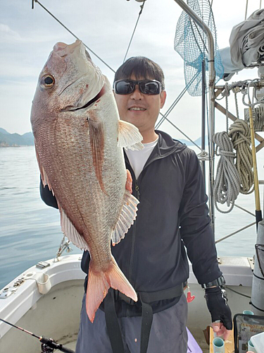 マダイの釣果