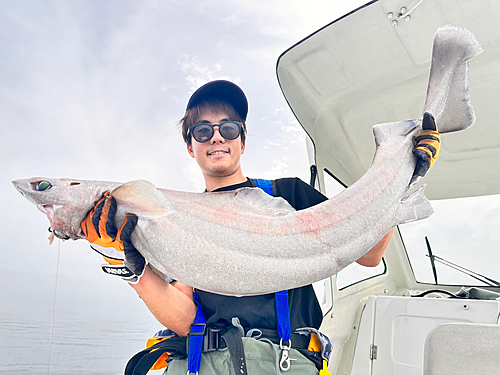 モミジザメの釣果