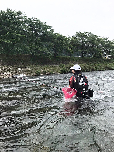 アユの釣果