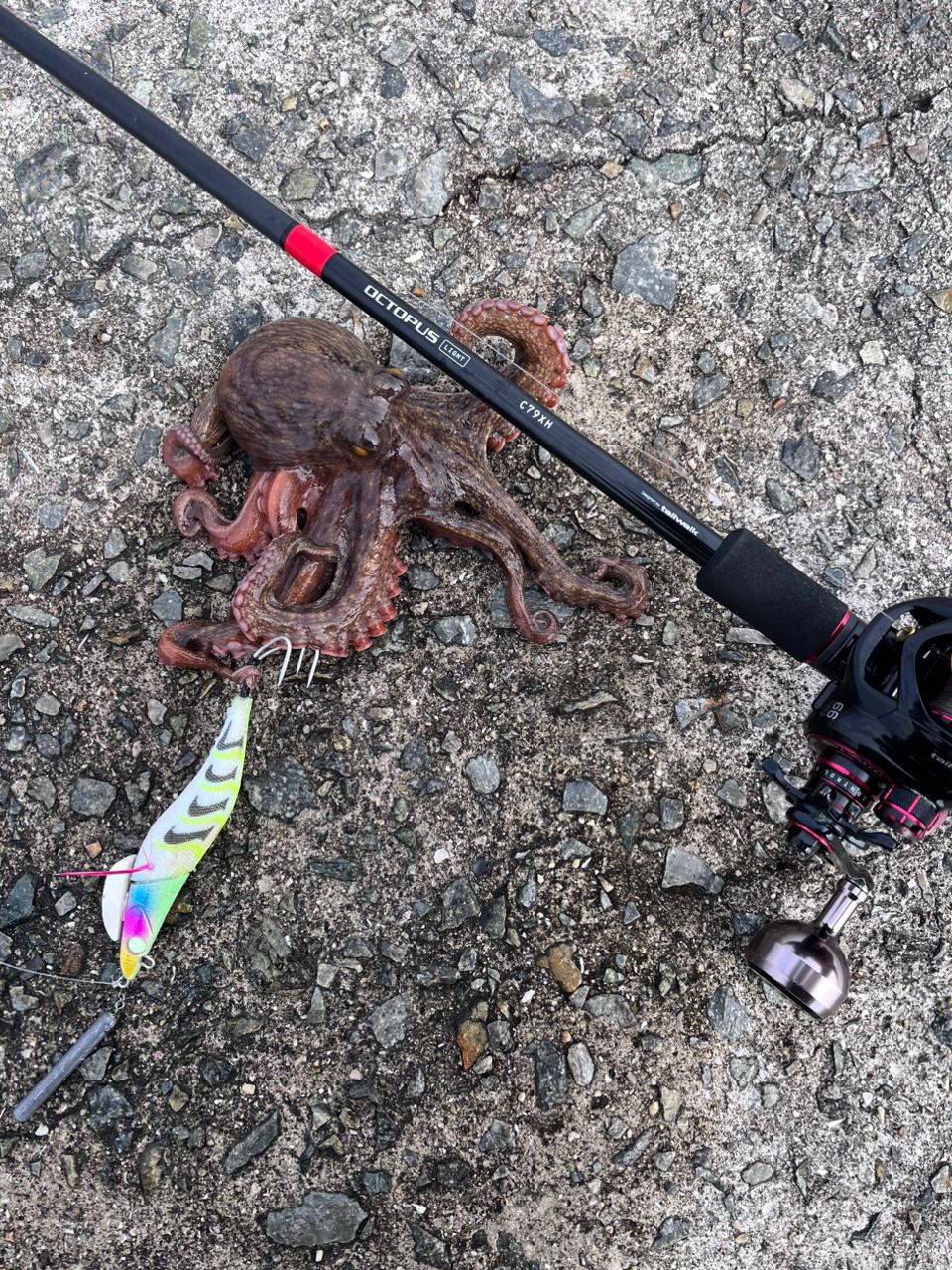 tailwalk オクトパスライト C79XHの最安値・インプレ・釣果 | 本音の