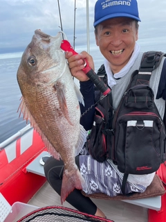 マダイの釣果