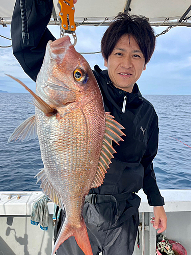 マダイの釣果