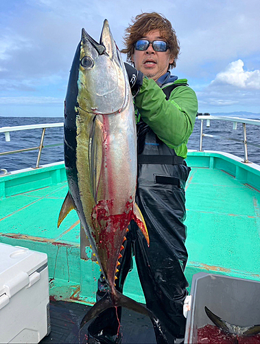 キハダマグロの釣果