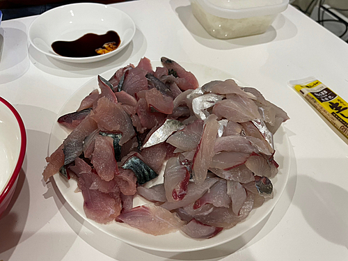 アジの釣果