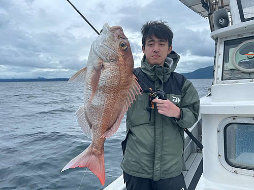 マダイの釣果