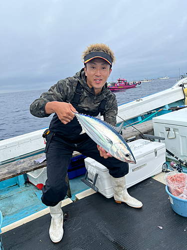 カツオの釣果