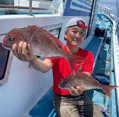 マダイの釣果