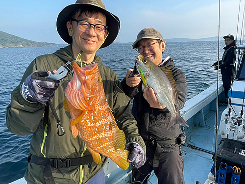 ハタの釣果