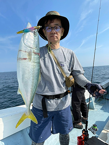 ヤズの釣果