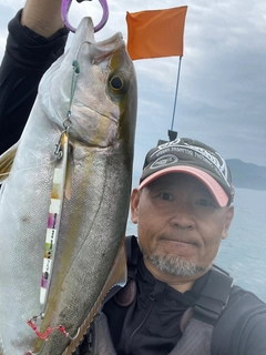 カンパチの釣果