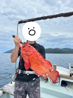 アザハタの釣果