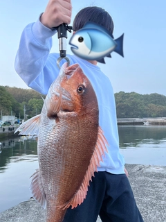 タイの釣果