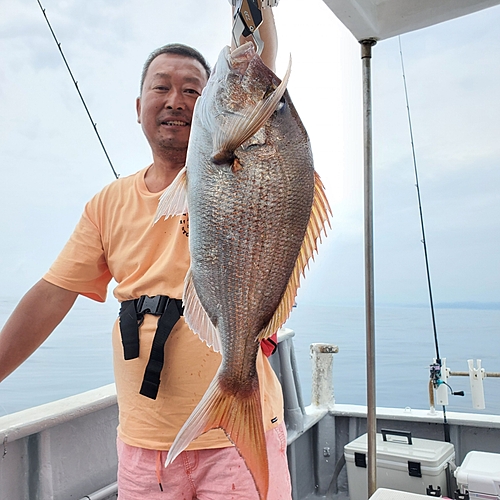 マダイの釣果