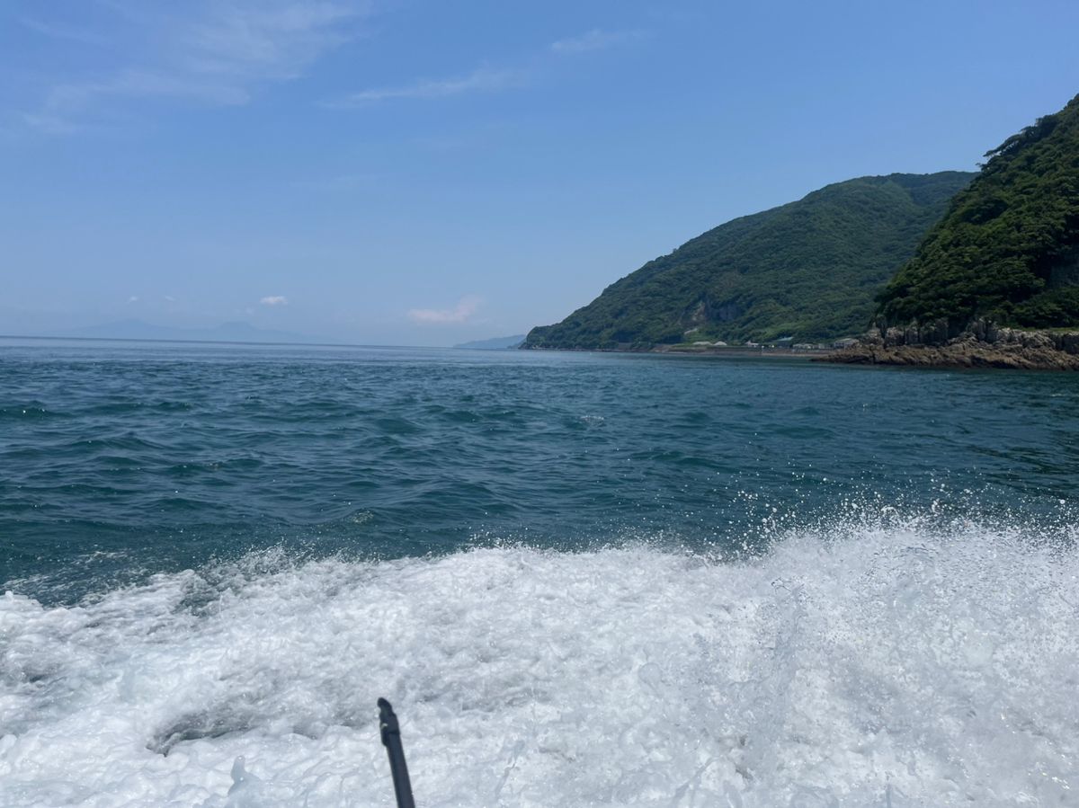 BOZUさんの釣果 3枚目の画像