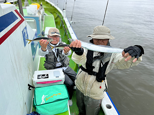 マアジの釣果