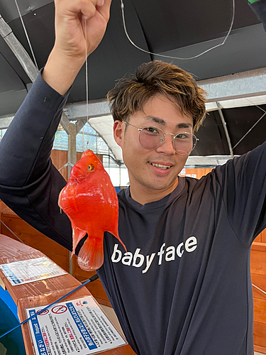 パロットファイヤー・シクリッドの釣果