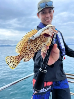 カンモンハタの釣果