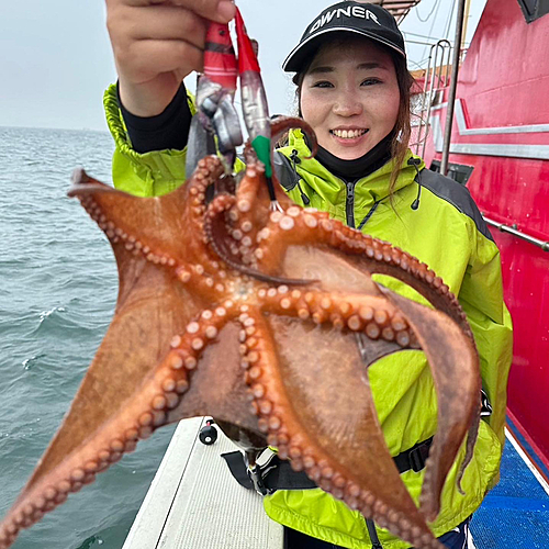 タコの釣果