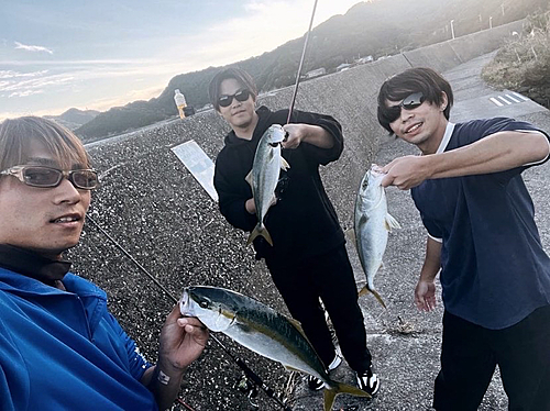 ツバスの釣果