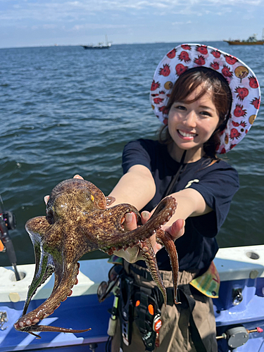 マダコの釣果