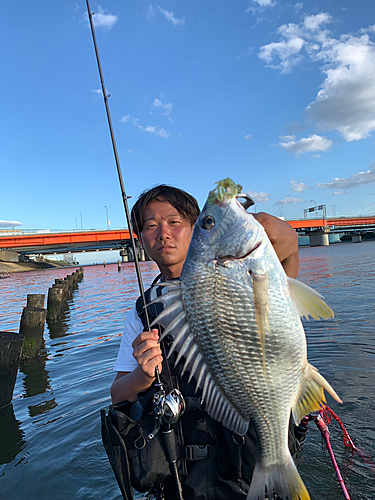 キビレの釣果