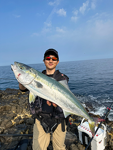 ワラサの釣果