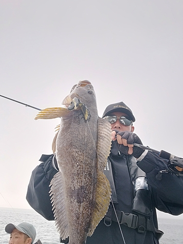 アイナメの釣果