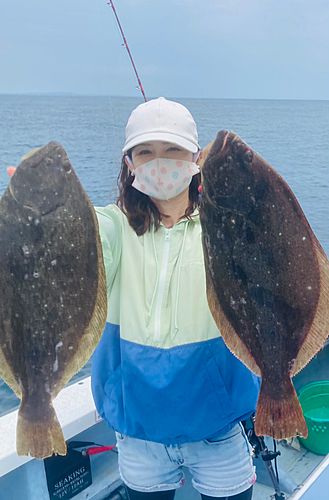 ヒラメの釣果