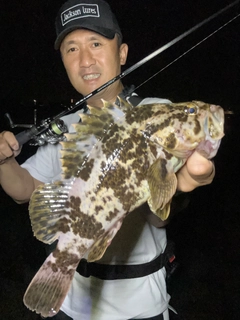 タケノコメバルの釣果