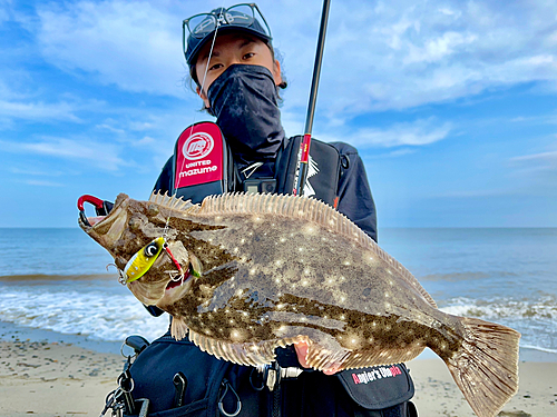 ヒラメの釣果