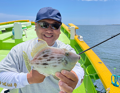 カワハギの釣果